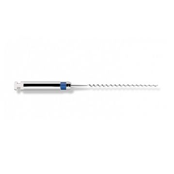 Ace Lentullo Albastre L21 cu Arc, FFDM, 4 buc.