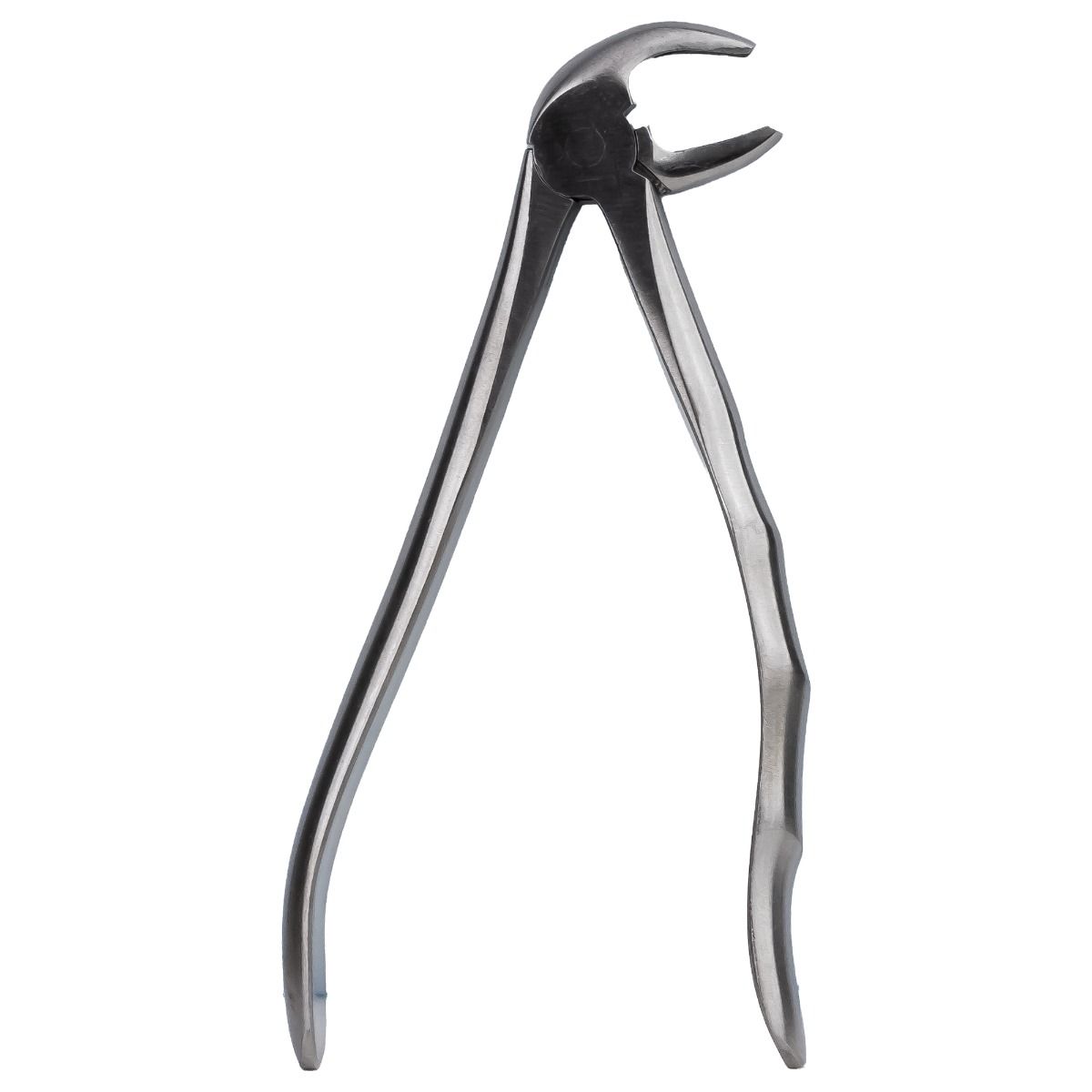 Clește de extracție PRIMA nr. 13 pentru premolar inferior — imaginea 3