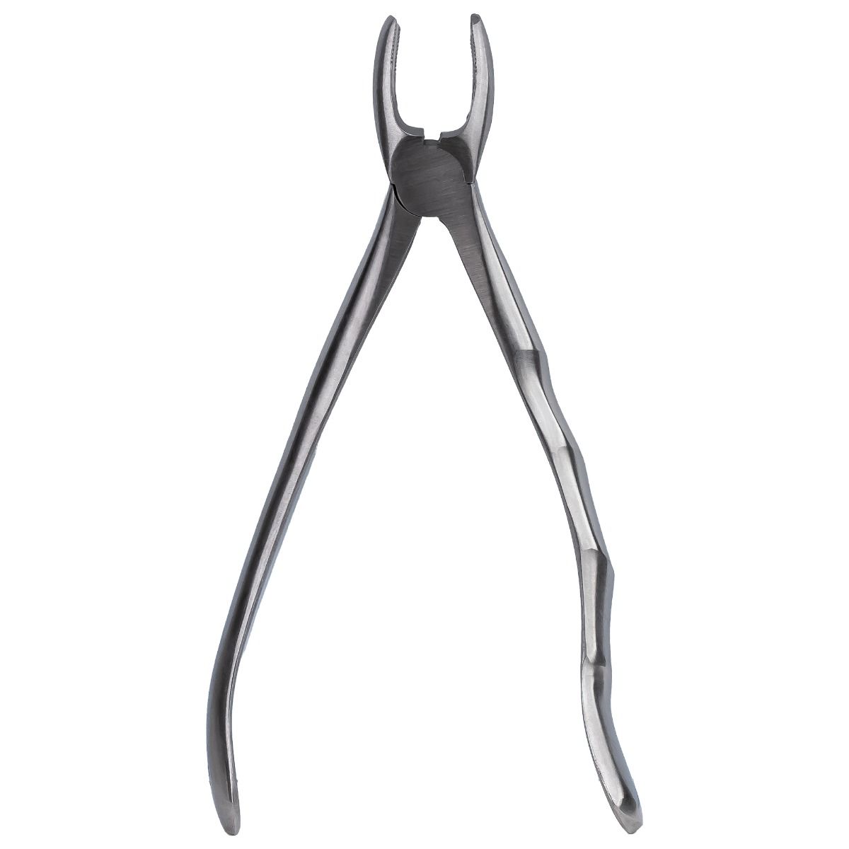 Clește de extracție PRIMA nr. 17 pentru Molar Superior Dreapta — imaginea 3