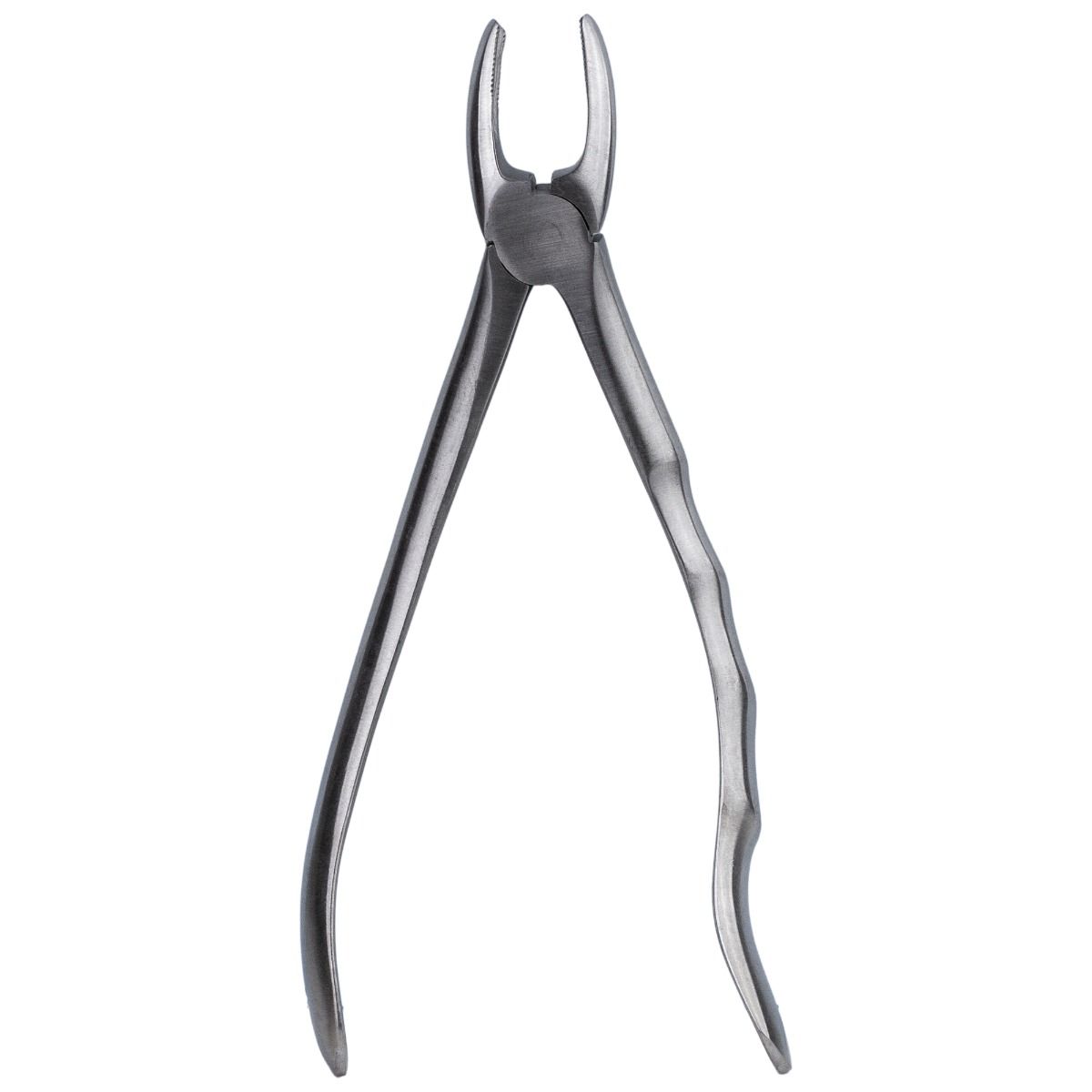 Clește extracție dentară PRIMA nr. 7, premolar superior — imaginea 3
