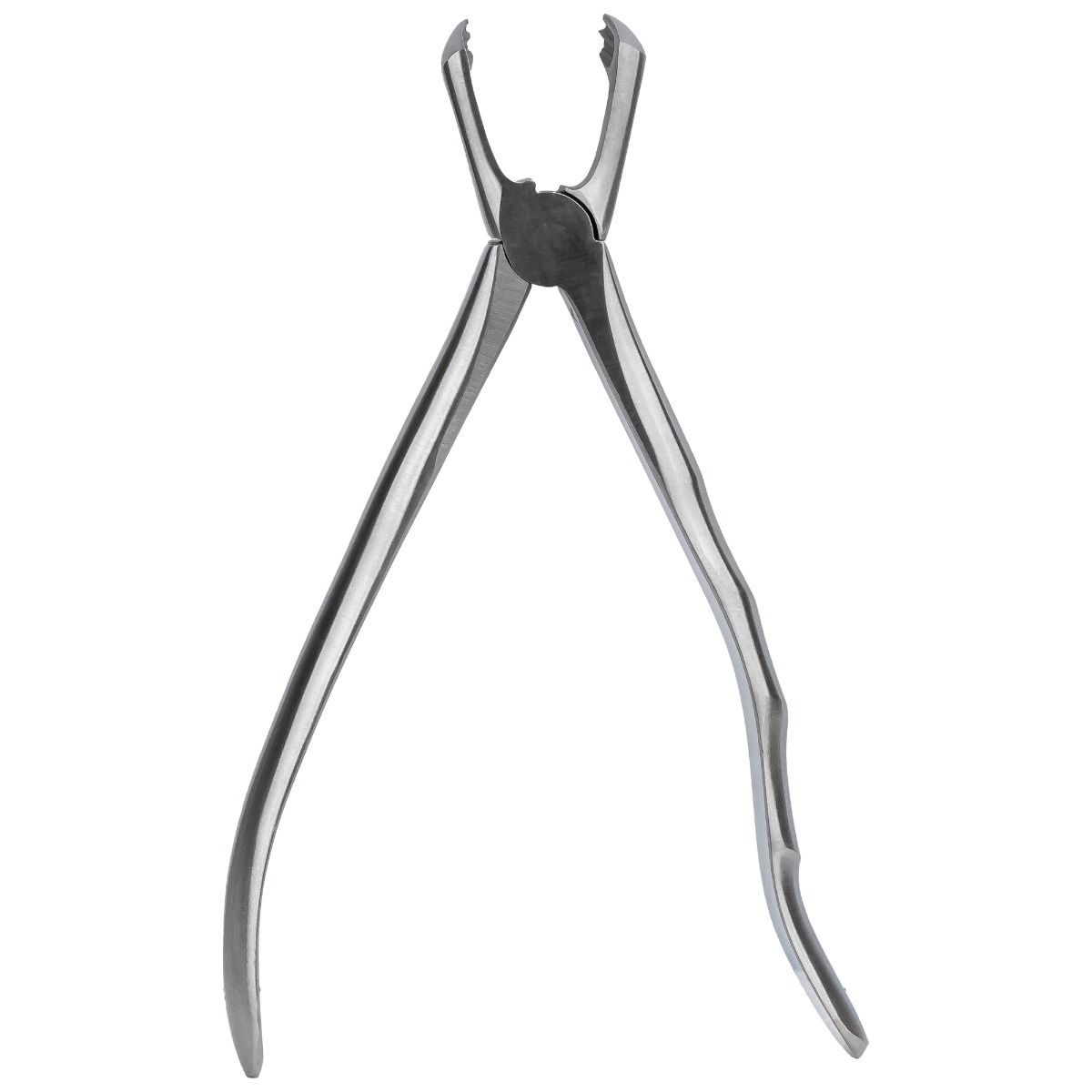 Clește extracție Molar de Minte Inferior nr. 79 cu Pinteni, PRIMA — imaginea 4