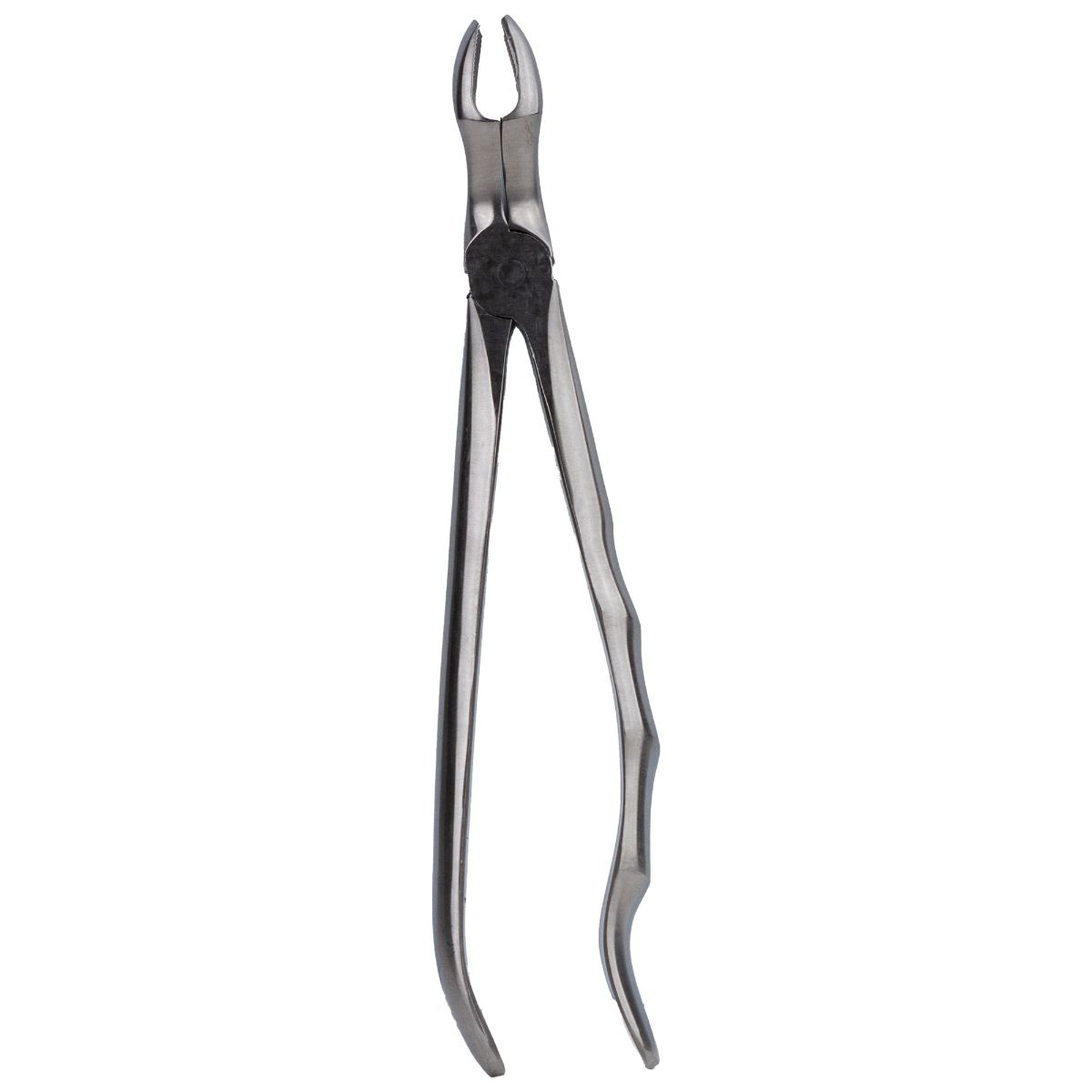 Clește extracție molar superior 67A - Precizie PRIMA — imaginea 4