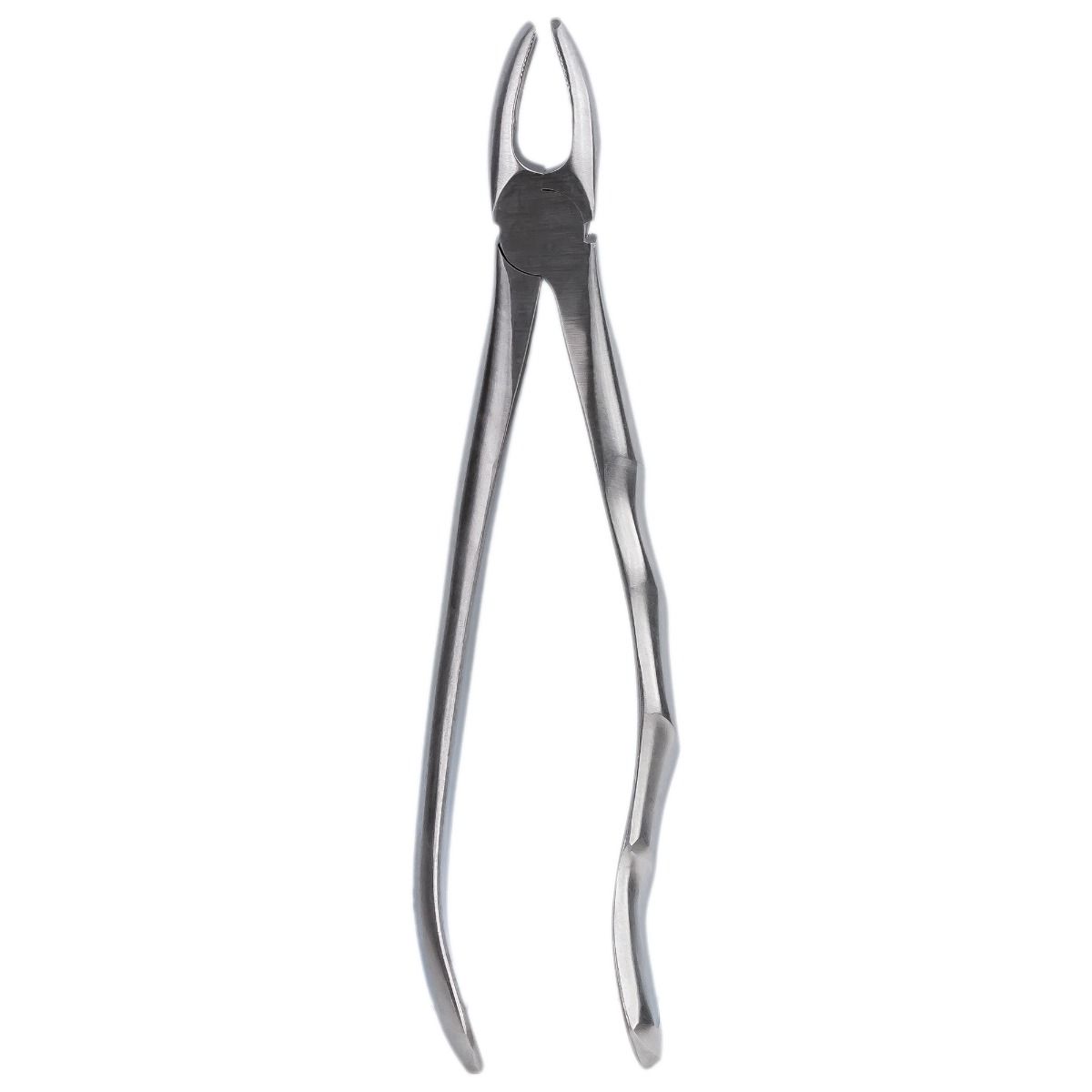 Cleste extractie nr. 17 - Molar superior dreapta, PRIMA — imaginea 4