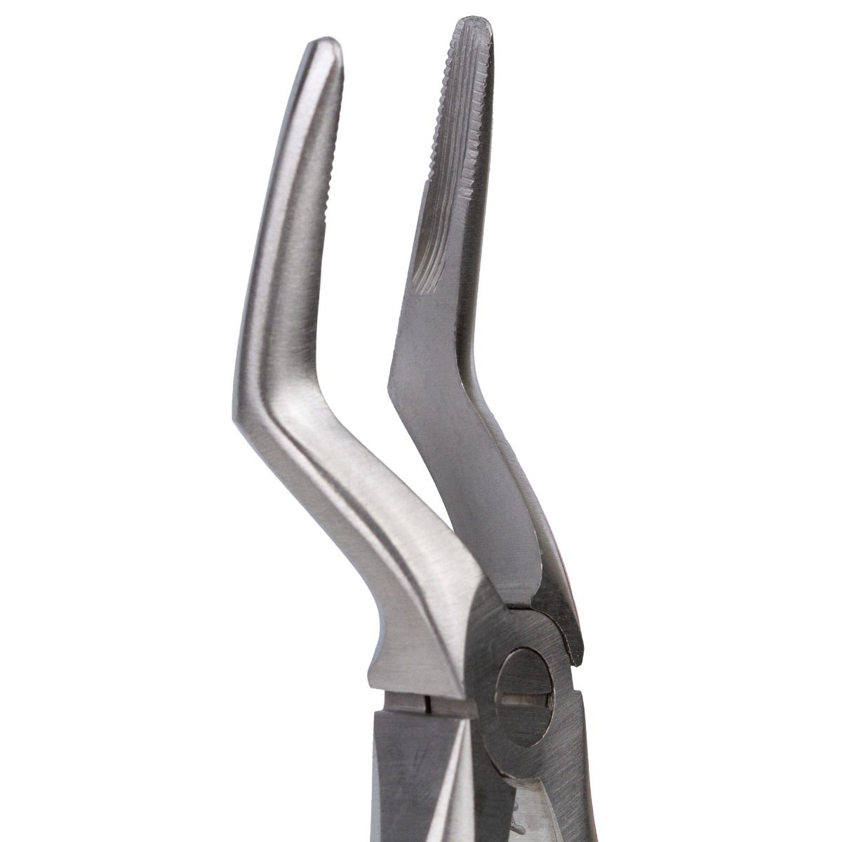 Cleste extractie nr. 51L - Radacini superiori, PRIMA — imaginea 6