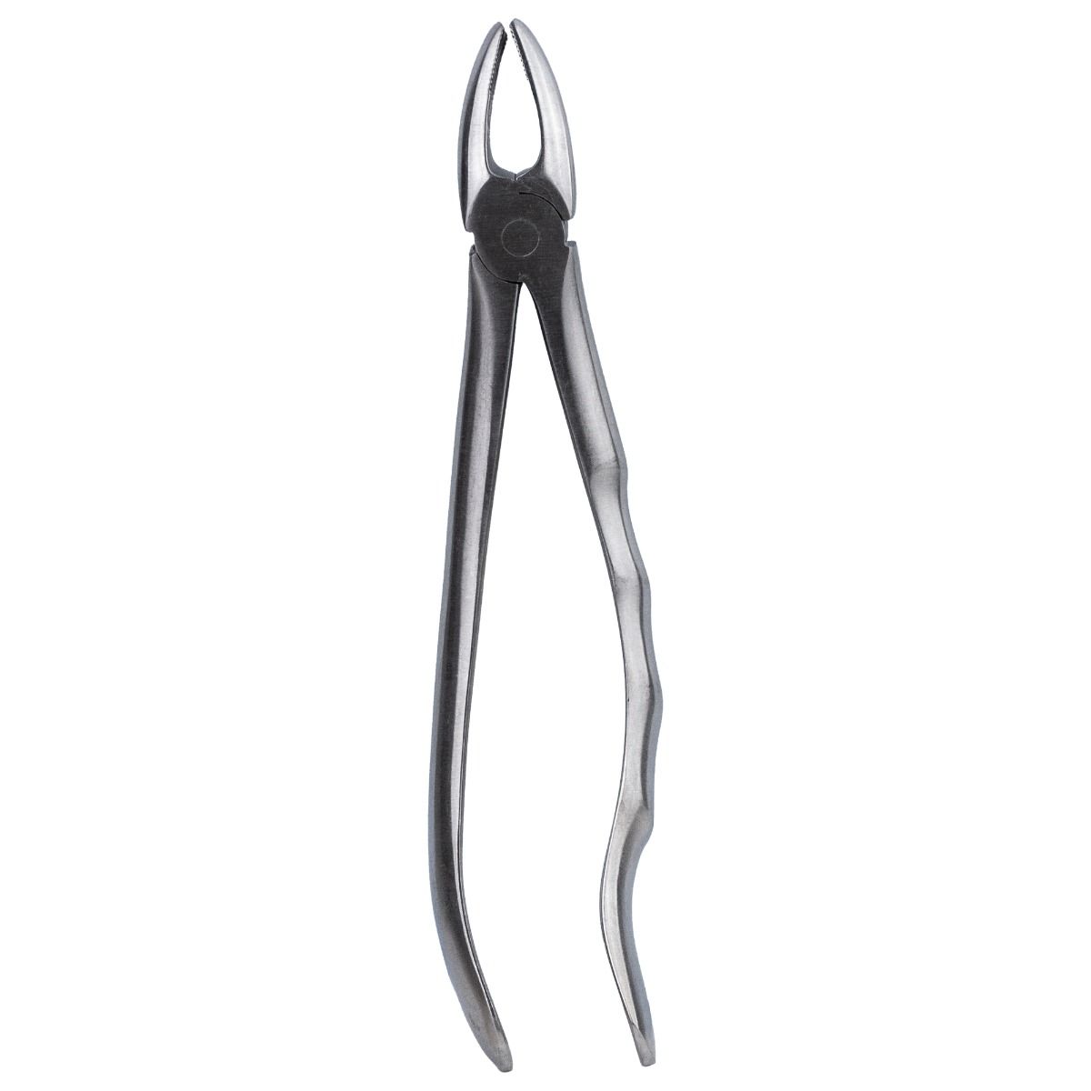 Cleste extractie nr. 7 - Premolar superior, PRIMA — imaginea 4