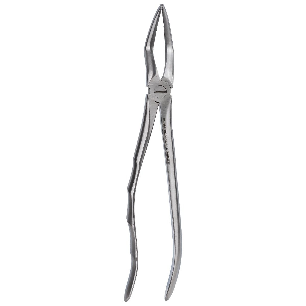 Clește extracție radiculară superior PRIMA, model 51L