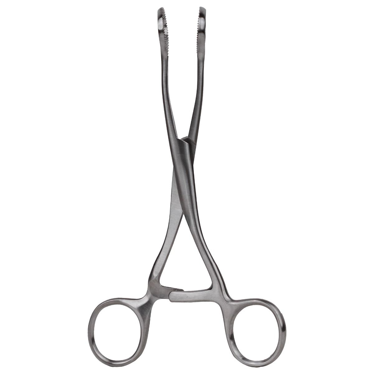 Pensa de prins limba Collin 16 cm PRIMA din otel inoxidabil - Instrument medical pentru ORL, stomatologie si medicina generala — imaginea 2