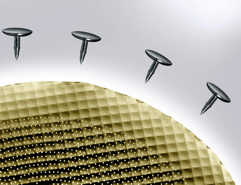 Pini pentru membrane SYMBIOS, cutie x 4buc. Dentsply Sirona